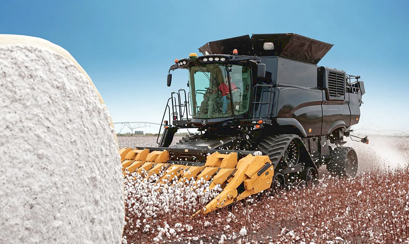 Cotton picking machine working in field